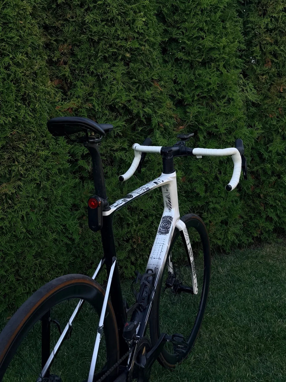 Black and white road bike with Puresteez graphics photographed outdoors in front of a hedge